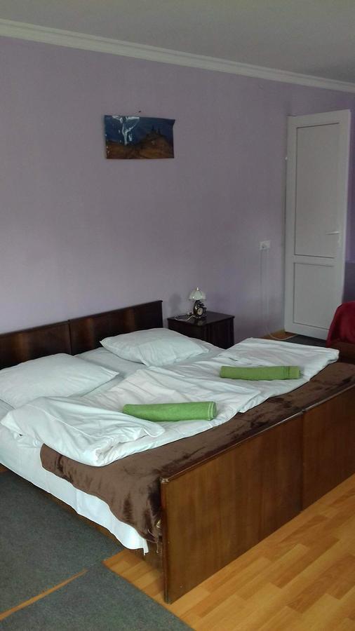 Nino Khetaguri Guest House Stepantsminda Exterior photo