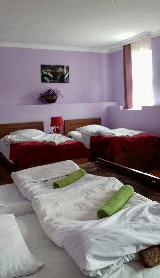 Nino Khetaguri Guest House Stepantsminda Exterior photo