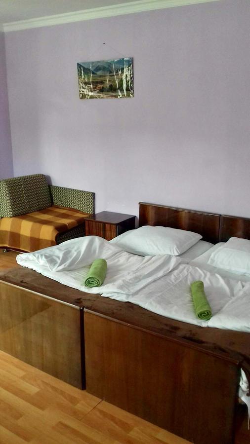Nino Khetaguri Guest House Stepantsminda Exterior photo
